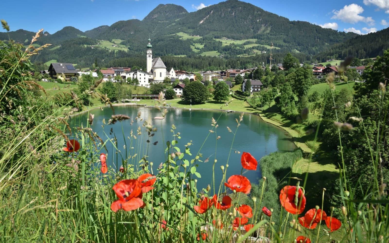 Reith im Alpbachtal, Reither See, Sommer, Blumen,