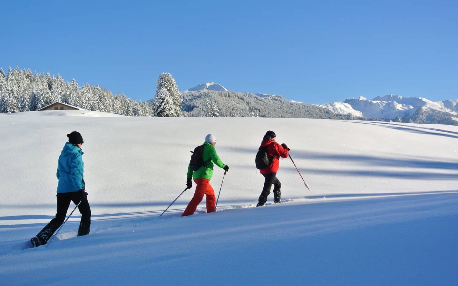 Reith im Alpbachtal, Reither Kogel, Schneeschuh Wanderung